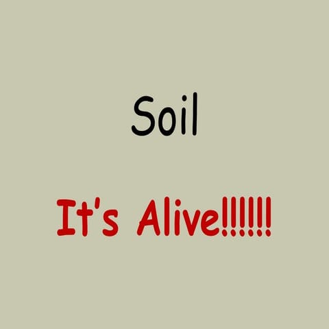 Soil Biology