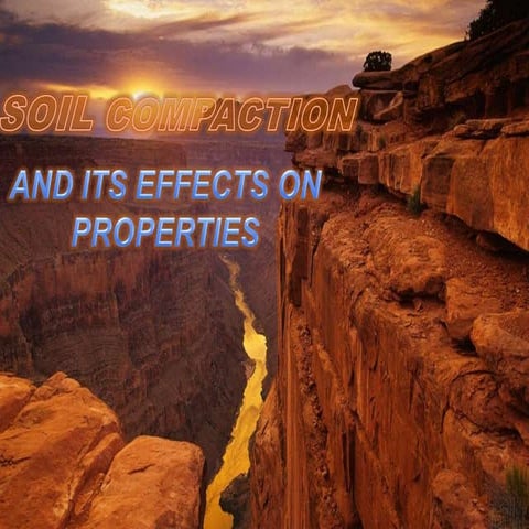 Soil compaction and effects on soil properties