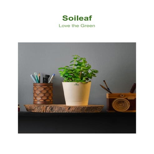 Indoor Landscape Pptx Pptx