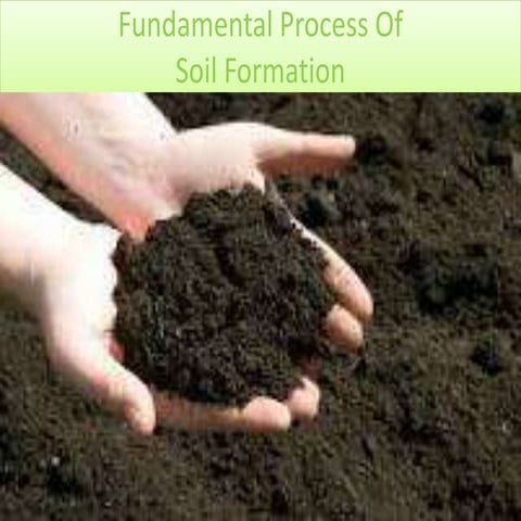 Soil formation