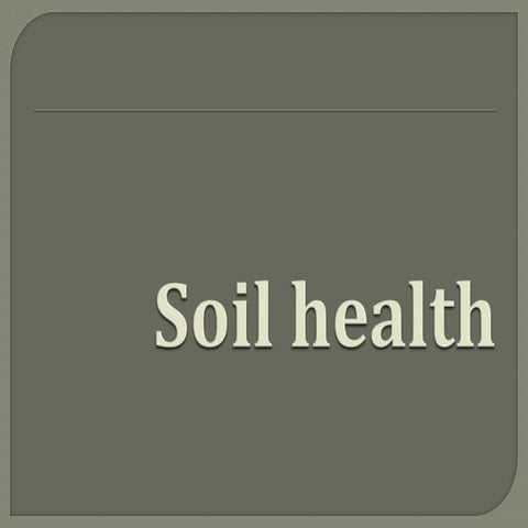 Soil health