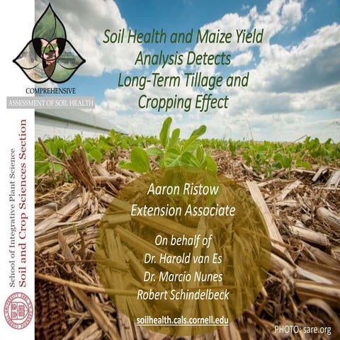 Soil health and maize yield analysis