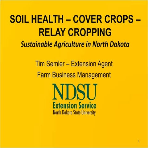 Soil Health – Cover Crops – Relay Cropping