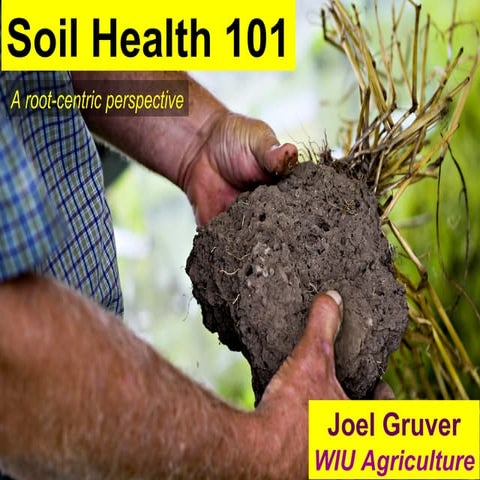 Soil Health - a root-centric perspective