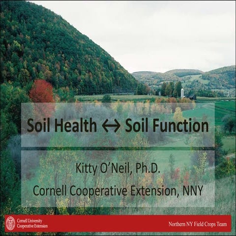 Soil health overview
