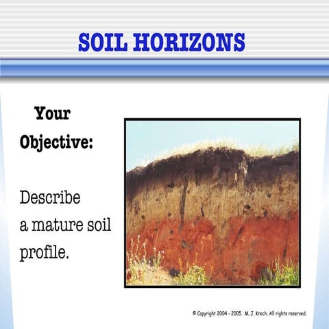 Soil horizons