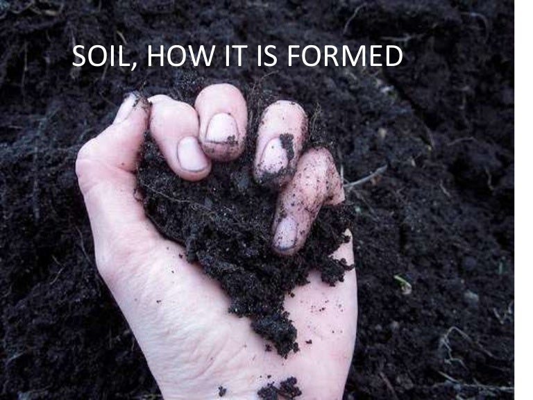 Soil, how formed (teach)