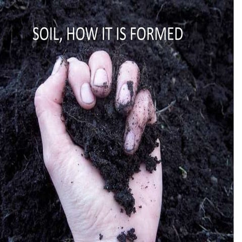 Soil, how formed  (teach)