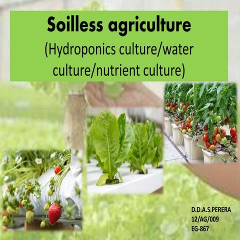 Soilless agriculture