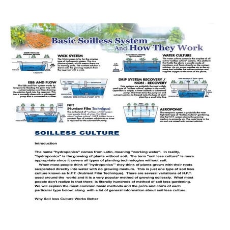 Soilless Culture