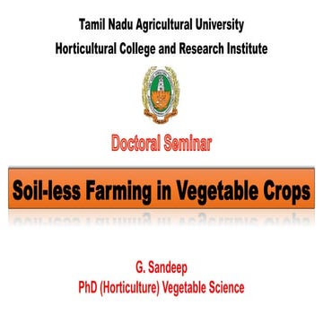 Soilless Farming in Vegetable Crops