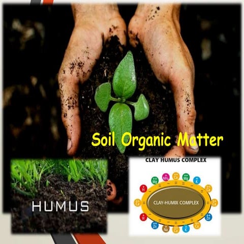 Soil organic matter and Humic substances