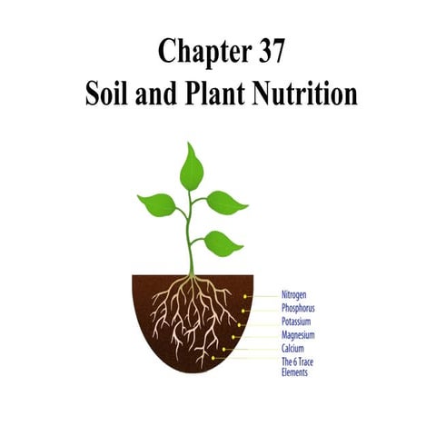 Soil+&+Plant+Nutrition.pdf