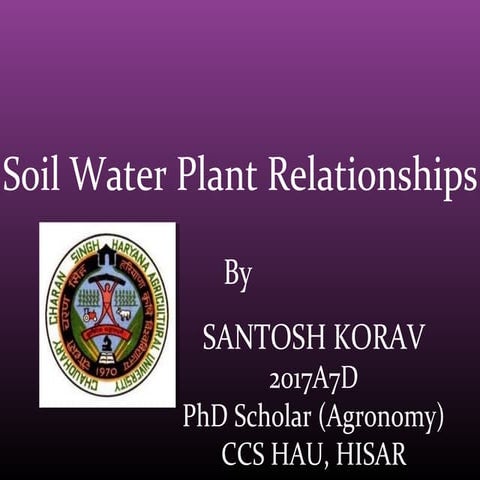 Soil plant water relationships