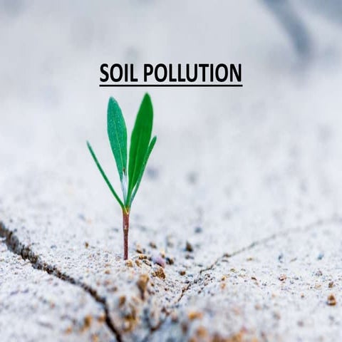 Soil pollution by Komal Bhardwaj