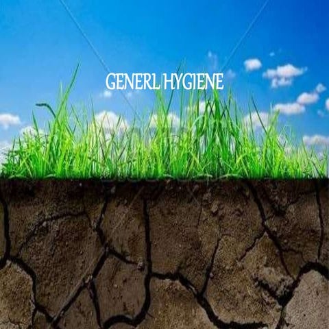 Soilpollutionseminar1 131122203718-phpapp02