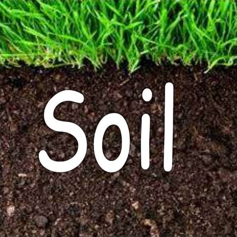 Soil ppt