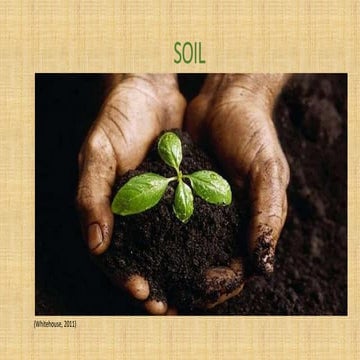 SOIL PROCESSES AND SOIL ERSOION 