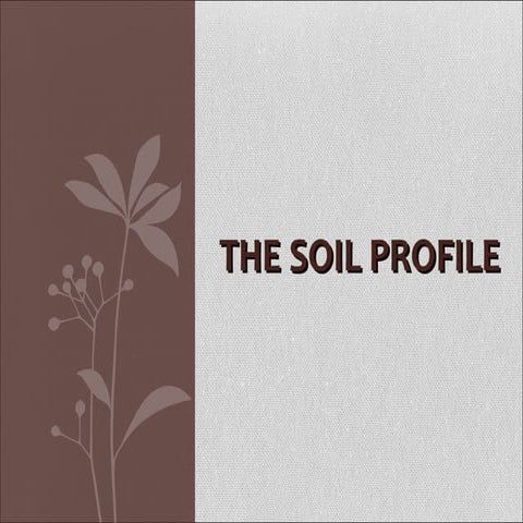 Soil profile