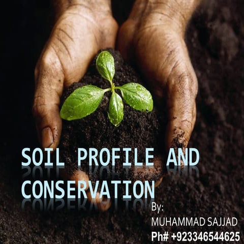Soil profile and conservation
