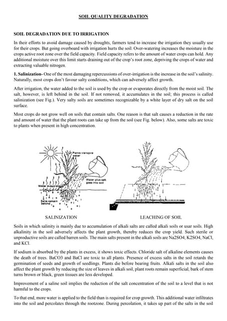 Quality of irrigation water | PPTX | Agriculture | Industries