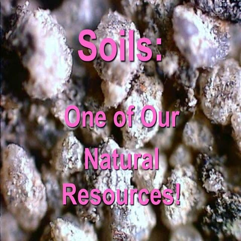 Soils