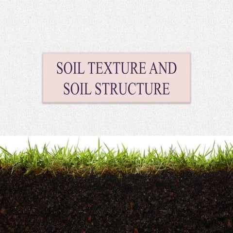 Soil texture and soil structure