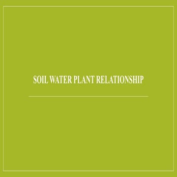 Soil water plant relationship