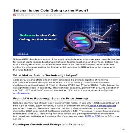 Solana Is the Coin Going to the Moon.pdf
