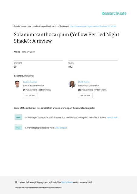 Solanum xanthocarpum yellow_berried_night_shade_a_
