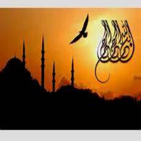 Solar pond technology