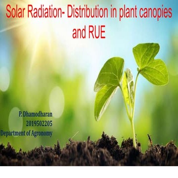 Solar radiation  distribution in plant canopies and rue