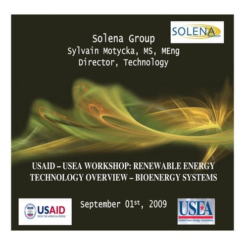 Solena Technology &amp; Bio Energy Platform Usaid&amp;Usea 01 Sept09