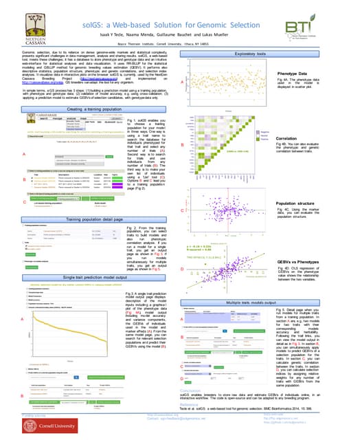 Cassavabase SolGS poster PAG 2016