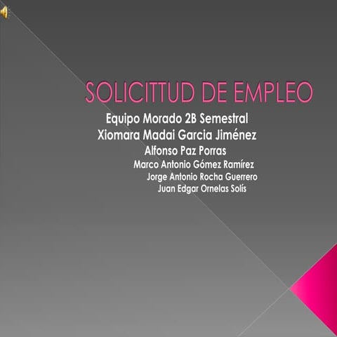 SOLICITUD DE EMPLEO