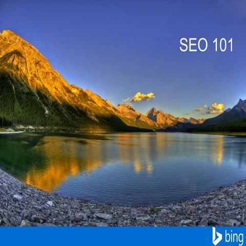 2014 SEO 101 - Solid Cactus