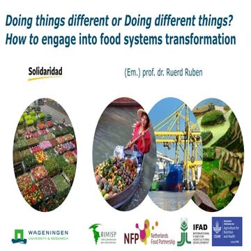 Solidaridad -  food systems