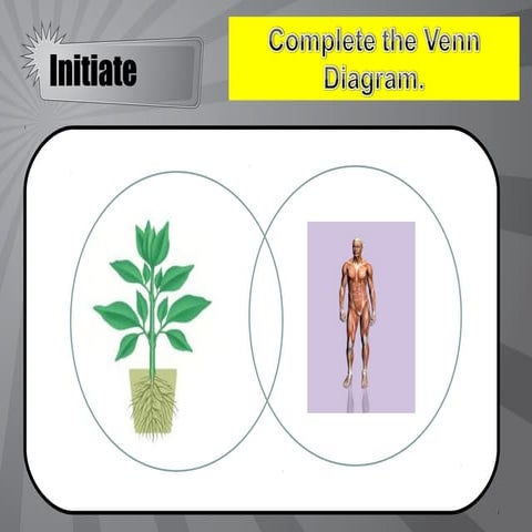 SOLO Revision Lesson