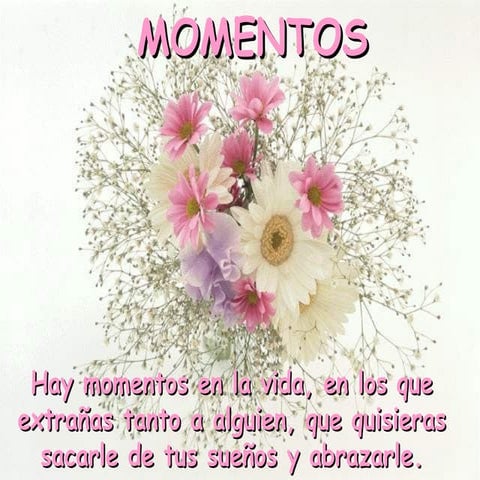 Solo momentos