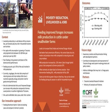 Feeding improved forages increases milk production in cattle under smallholde...