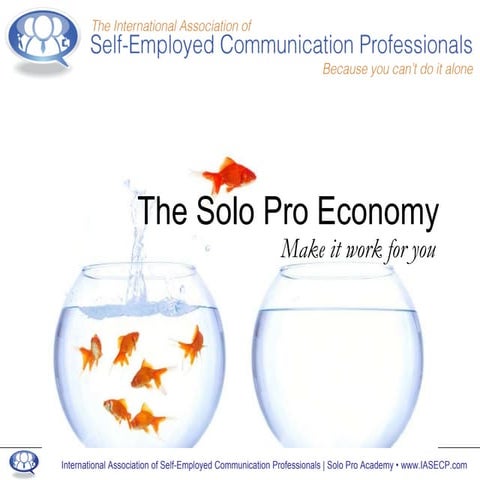 Solo Pro CEO: The Kayak Business Model