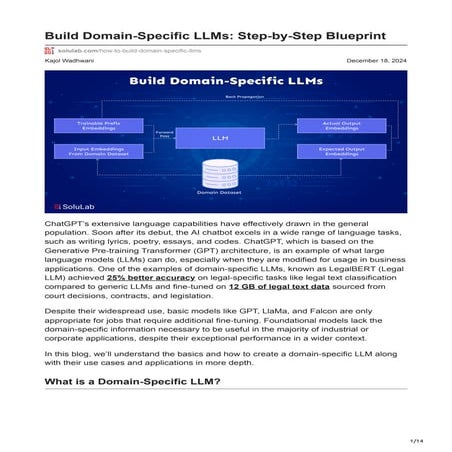 solulab.com-Build Domain-Specific LLMs Step-by-Step Blueprint (1).pdf