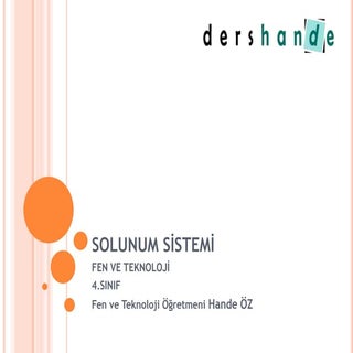 Solunum Si̇stemi̇ 4. Sınıf