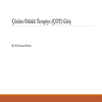 Solution-Focused Therapy (Turkish Version)