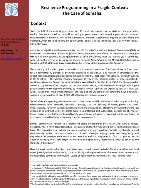 Somalia resilience programming final.doc   edited version (1)