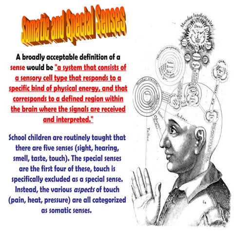 Somatic.specialsenses