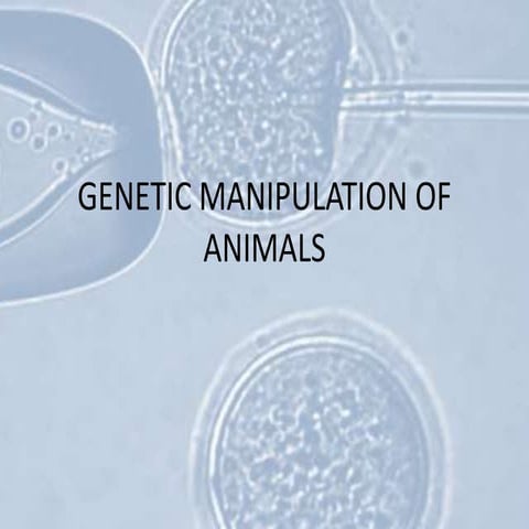 Somatic cell cloning