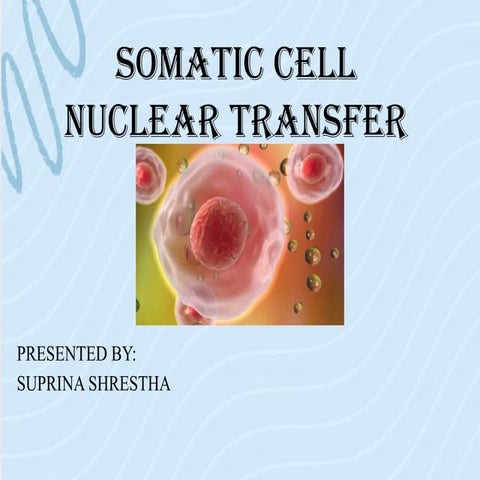 SCNT for producing transgenic animal.pptx