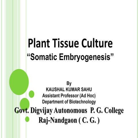 Somatic embryogenesis, in plant tissue culture