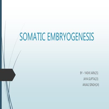 Somatic embryogenesis (1)